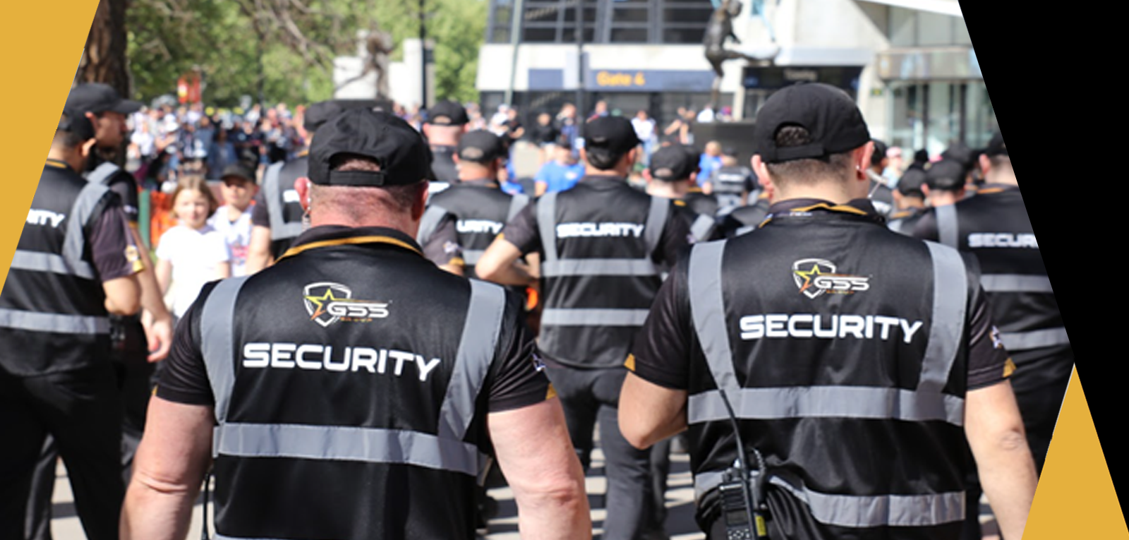 GSS Security Professionals